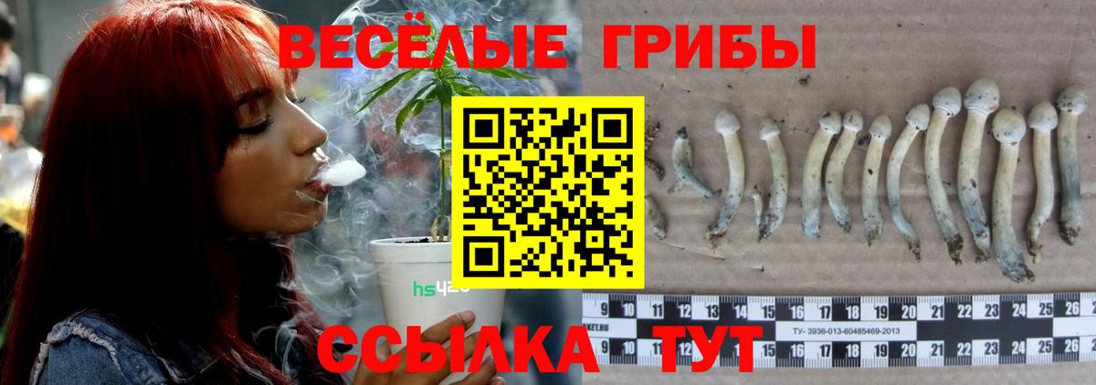 Воскресенск  Псилоцибиновые грибы Cubensis  Вход с VPN 